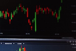 Cursos de exportación