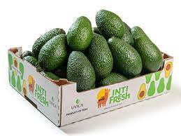 PALTA HASS DÚO